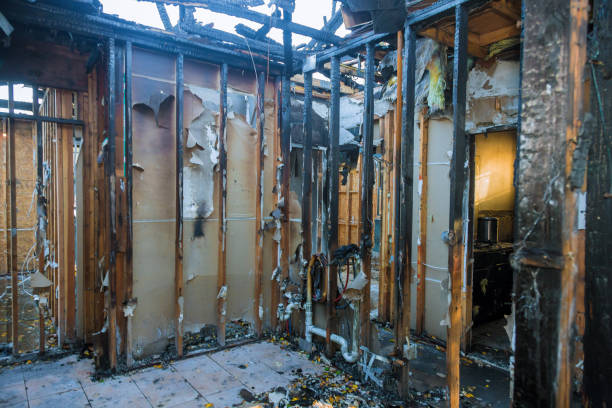 Professional Smoke Damage Removal technician working in Canton, PA